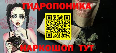 шишки Лесосибирск
