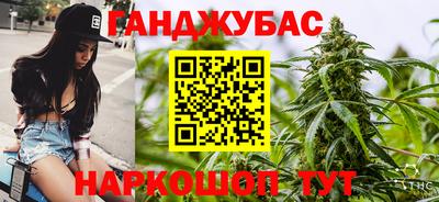 шишки Лесосибирск