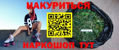 шишки Лесосибирск