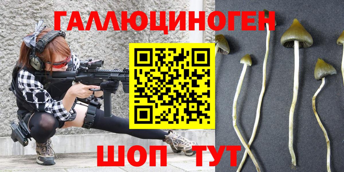 Псилоцибиновые грибы Psilocybine cubensis  Галлюциногенные грибы MAGIC MUSHROOMS  Казань  Вход с VPN 